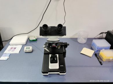 WhatsApp Image 2024-12-26 at 12.49.59 PM (3)