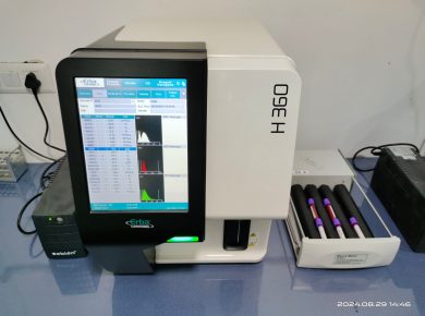 WhatsApp Image 2024-12-26 at 12.50.01 PM (1)